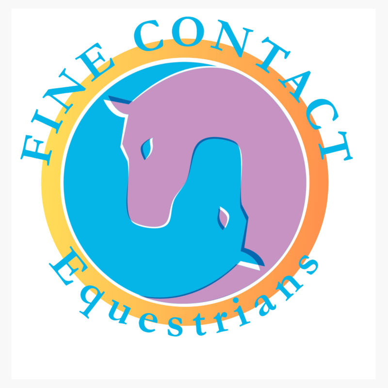 FINE CONTACT Dressur - Monatsturnier