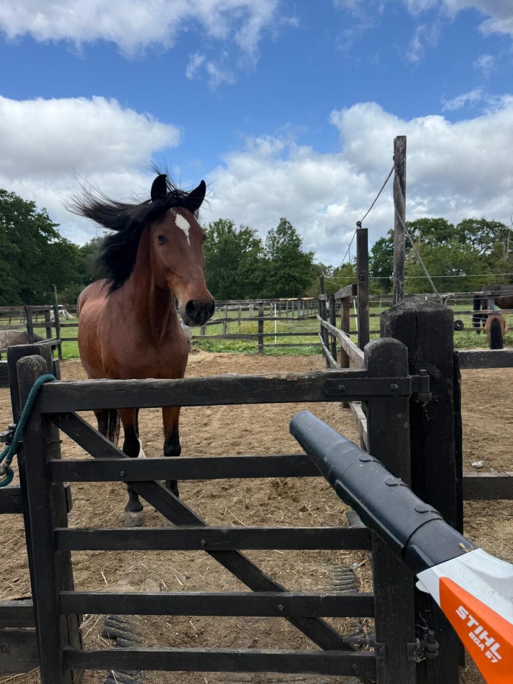 IMG-20250805-WA0010[1]