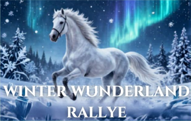 Winter Wunderland Rallye